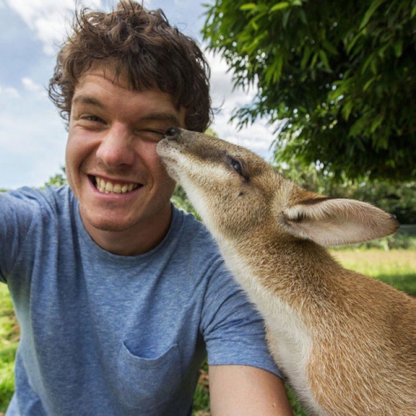 This man has mastered the art of selfies with animals to perfection. This man has mastered the art of selfies with animals to perfection.