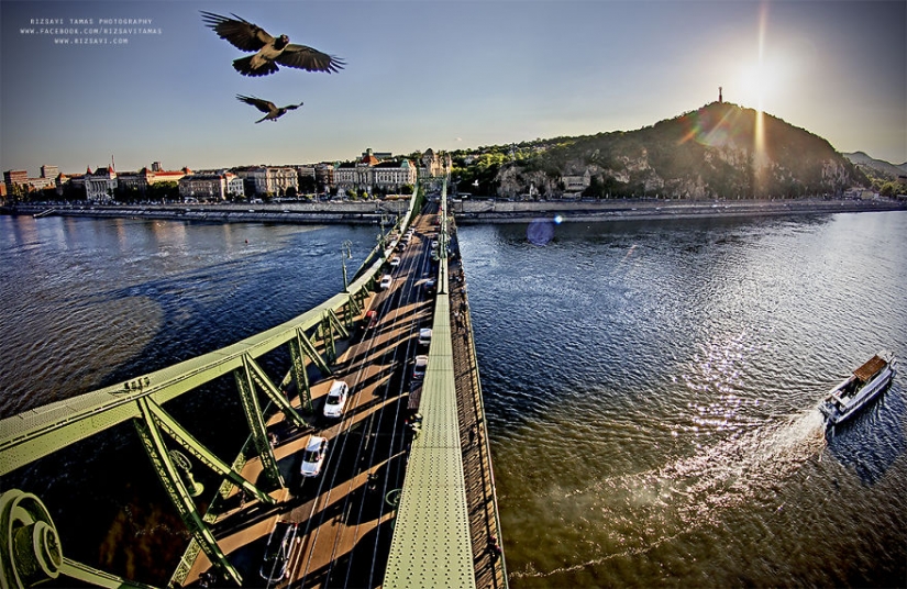 This photographer risks his life for a good shot.