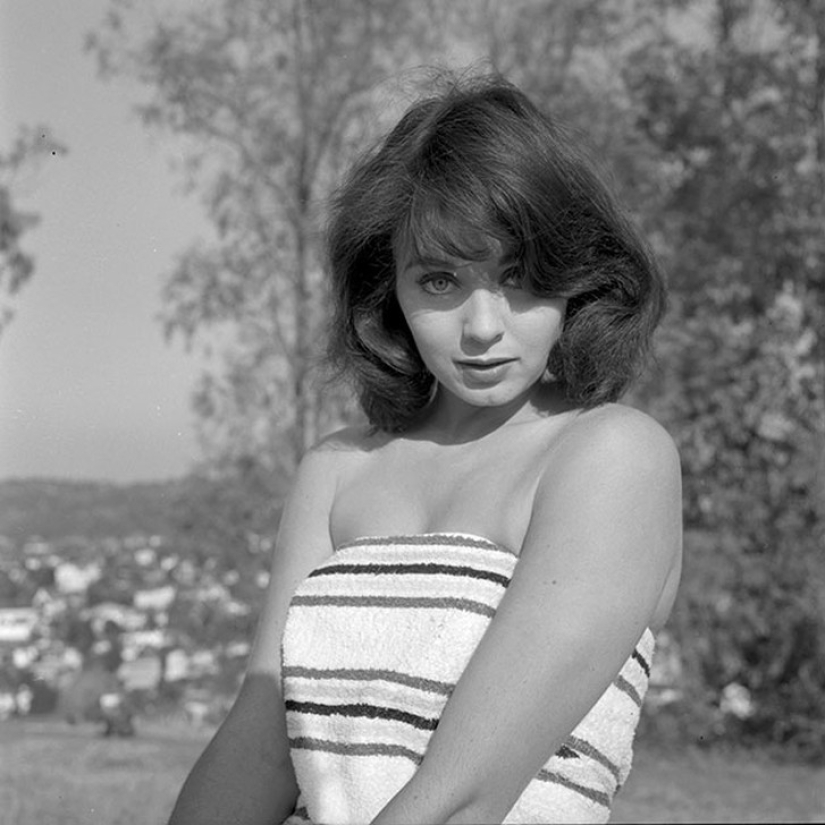 Todas las ganadoras de Miss Universo: cómo han cambiado los ideales de belleza en 60 años Todas las ganadoras de Miss Universo: cómo han cambiado los ideales de belleza en 60 años