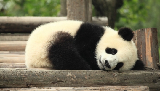 Todos los misterios del Reino medio: 30 hechos acerca de China Todos los misterios del Reino medio: 30 hechos acerca de China