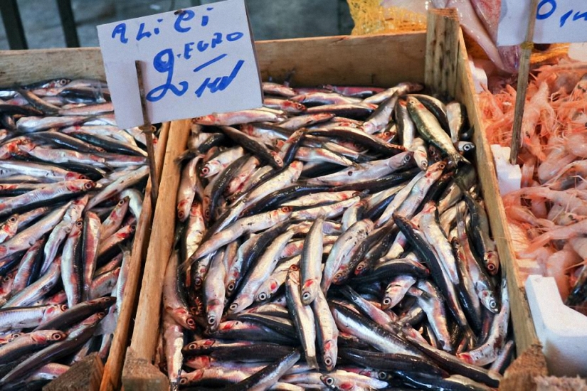 Top 10 cities with the best street food