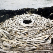 Top 10 documentaries of all time, according to critics