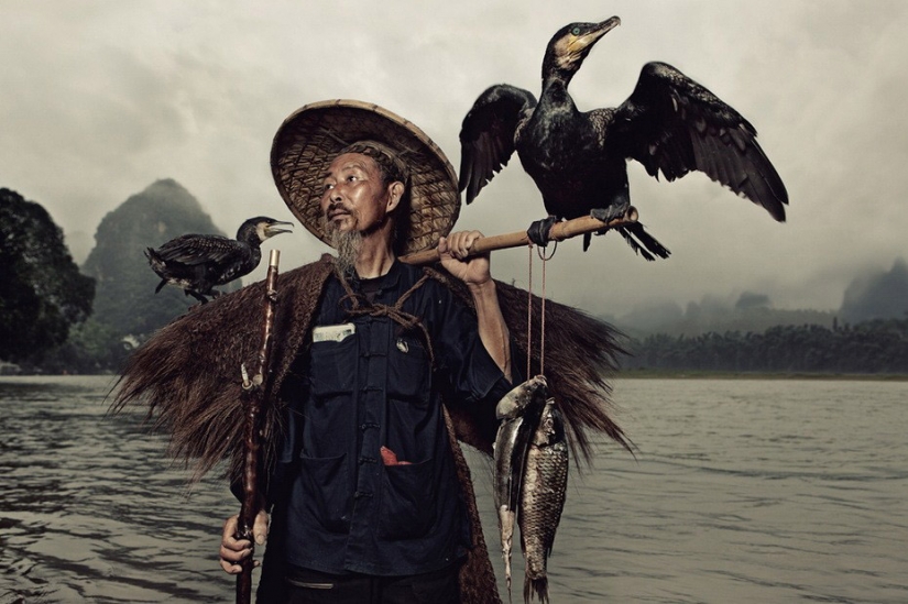 Traditional Chinese fishing with cormorants