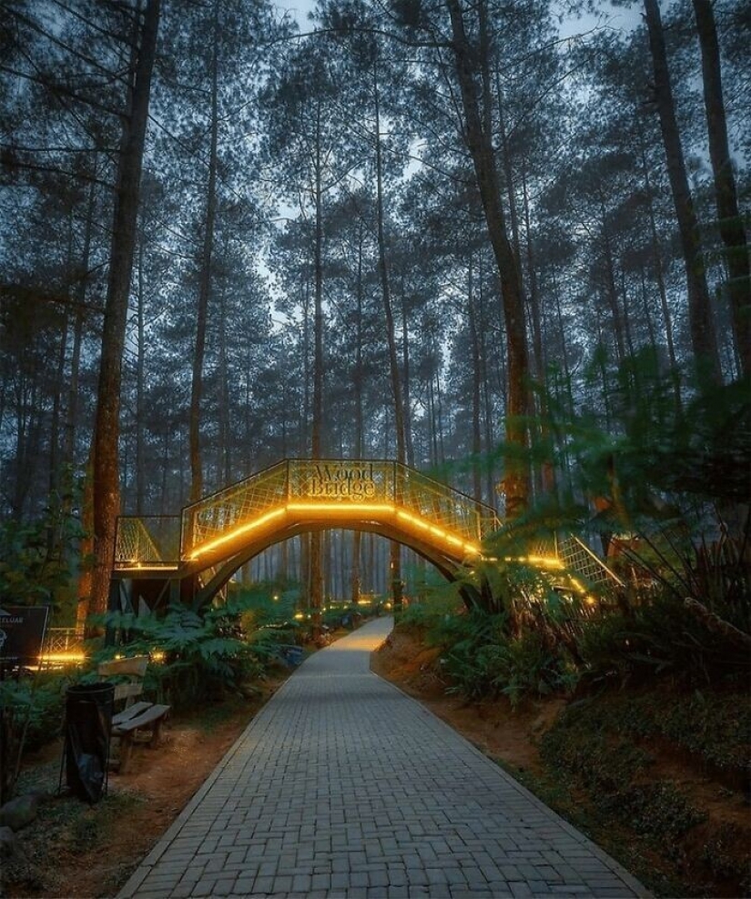 Traveling online: the most magical bridge in Indonesia
