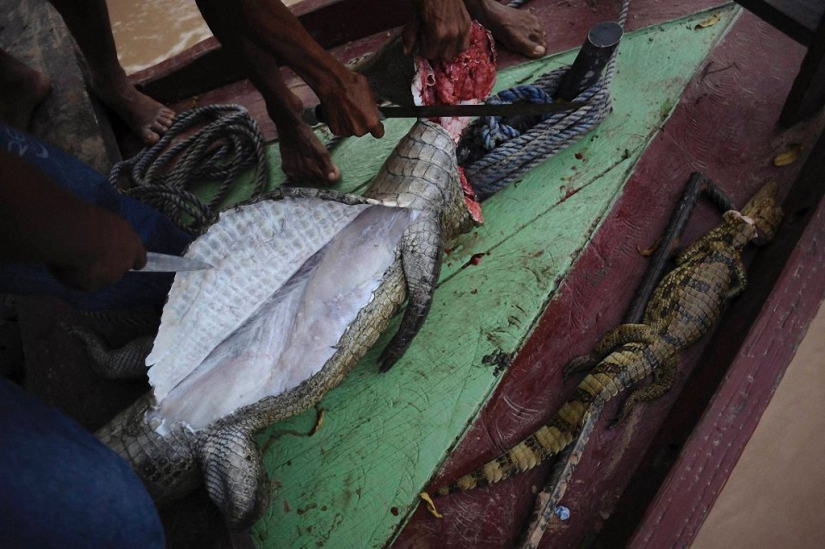 Tribus desconocidas: primer contacto con la civilización Tribus desconocidas: primer contacto con la civilización