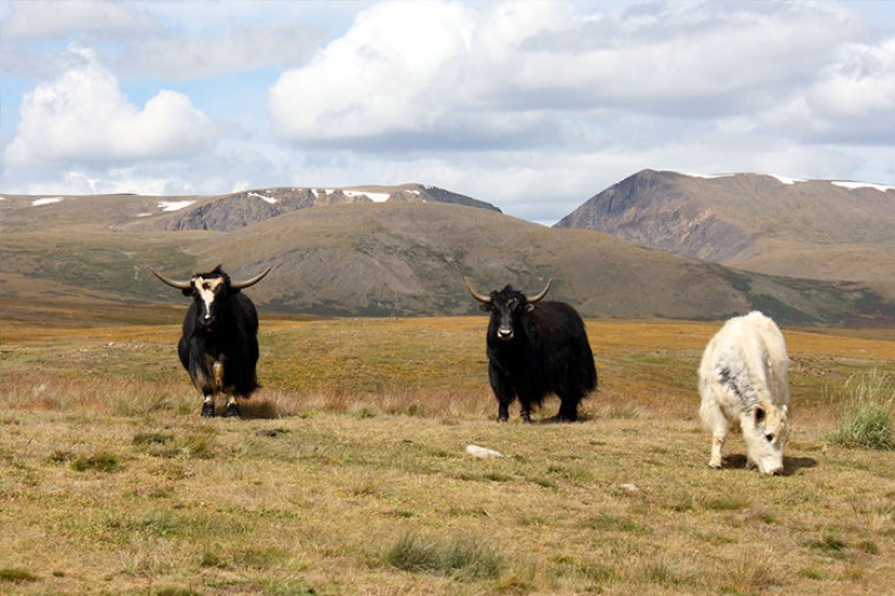Turismo de naturaleza: Rusia vs América Turismo de naturaleza: Rusia vs América