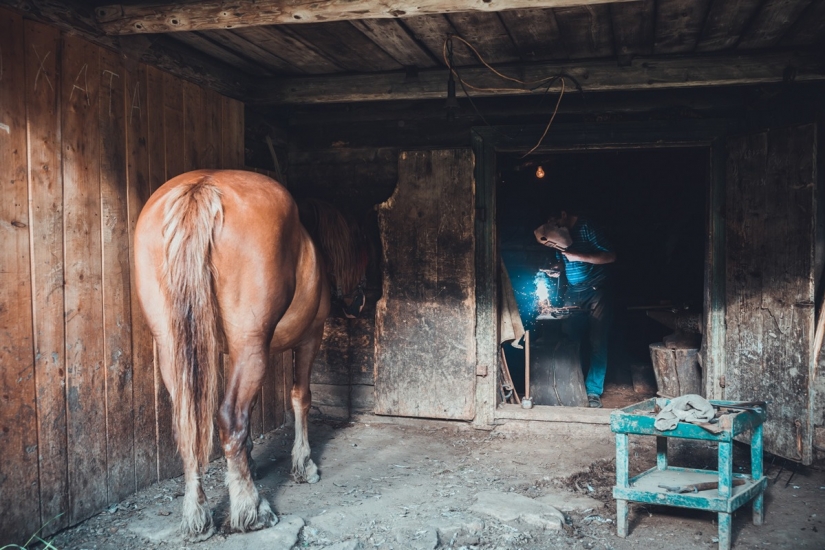 Ucrania, a través de los ojos de un Holandés: una excelente serie de fotos sobre la vida de Hutsuls Ucrania, a través de los ojos de un Holandés: una excelente serie de fotos sobre la vida de Hutsuls