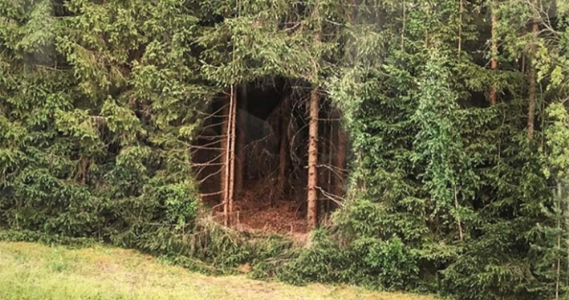 Un agujero ideal apareció en la espesura del bosque cerca de un pueblo estonio y desconcertó a los cibernautas Un agujero ideal apareció en la espesura del bosque cerca de un pueblo estonio y desconcertó a los cibernautas