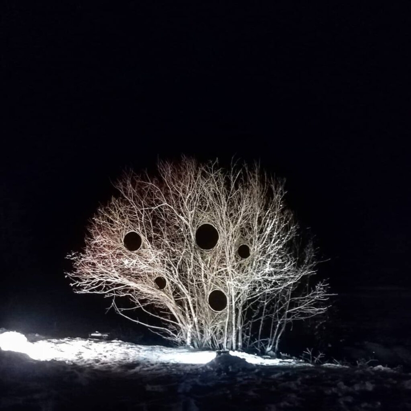 Un agujero ideal apareció en la espesura del bosque cerca de un pueblo estonio y desconcertó a los cibernautas Un agujero ideal apareció en la espesura del bosque cerca de un pueblo estonio y desconcertó a los cibernautas