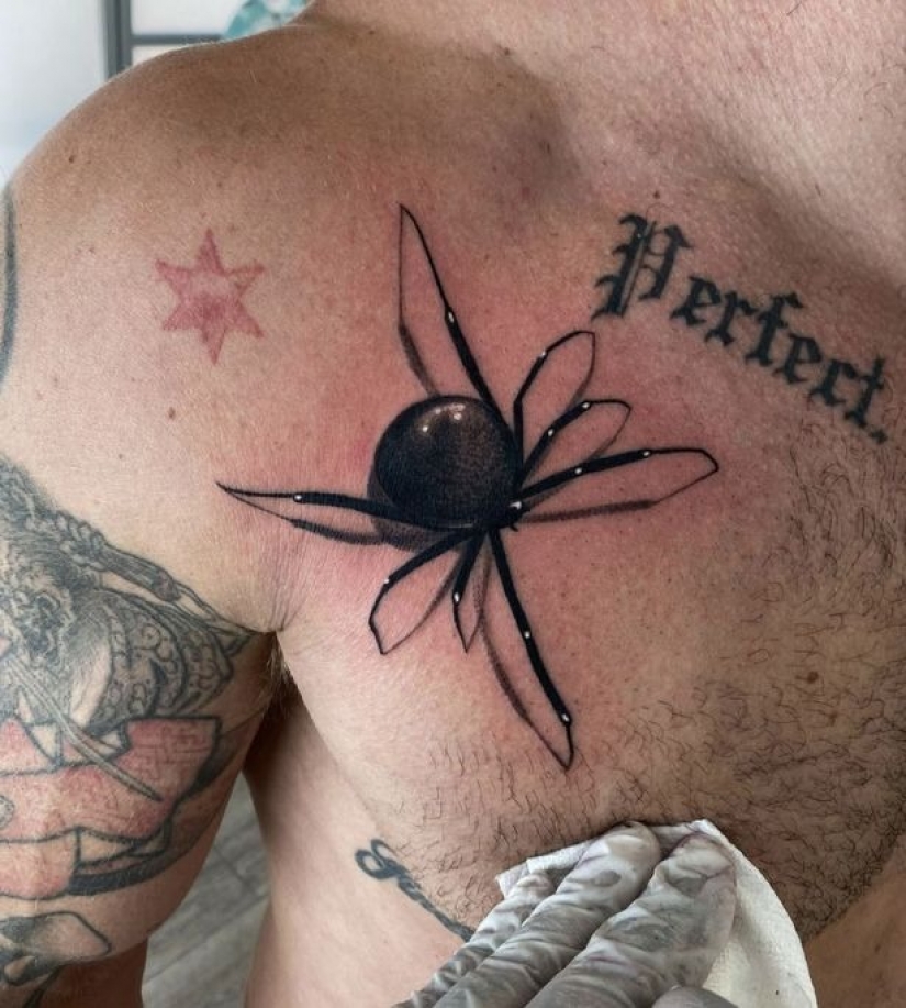 Un artista del tatuaje de los EE.UU. impresiona con una nueva tendencia: un dibujo en 3D de una araña venenosa