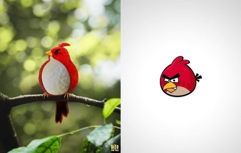 Un artista digital de Italia mostró cómo se verían los animales de dibujos animados en la realidad Un artista digital de Italia mostró cómo se verían los animales de dibujos animados en la realidad
