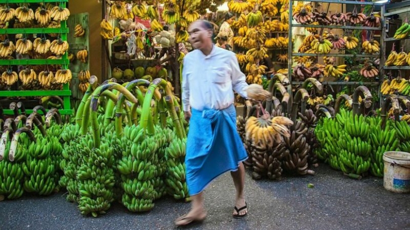 Una banana su "pandemia" podemos perder las frutas favoritas