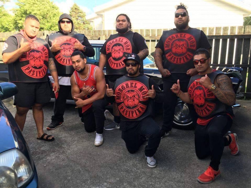 Una banda de motociclistas pseudo-nazi mantiene a raya a toda Nueva Zelanda Una banda de motociclistas pseudo-nazi mantiene a raya a toda Nueva Zelanda