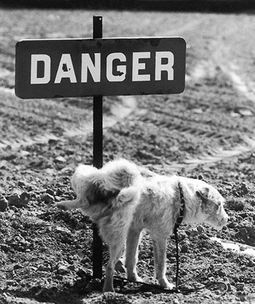 Una comedia de situación en francés de Rene Maltet