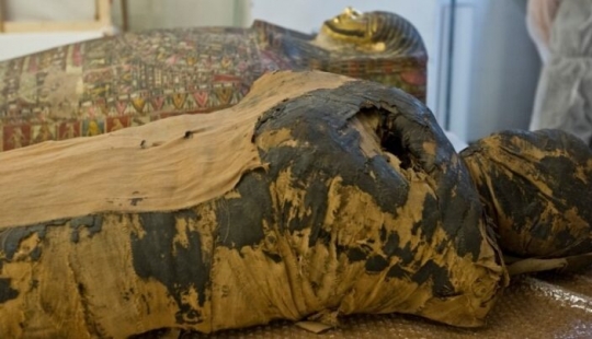 Unique find: Egyptian mummy turned out to be pregnant