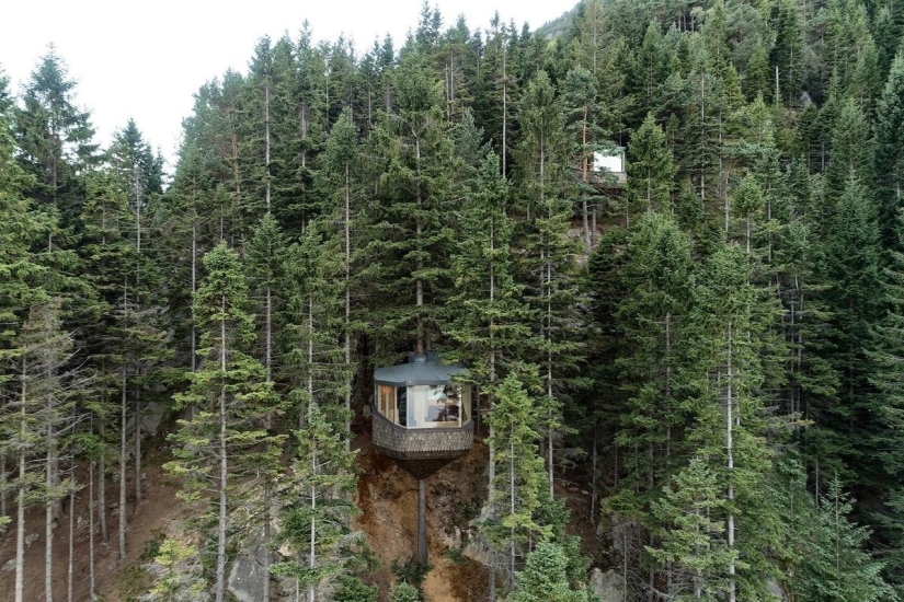 Unique tree houses Woodnest soar in Norwegian woods