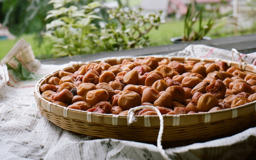 Unusual cold remedies from around the world Unusual cold remedies from around the world