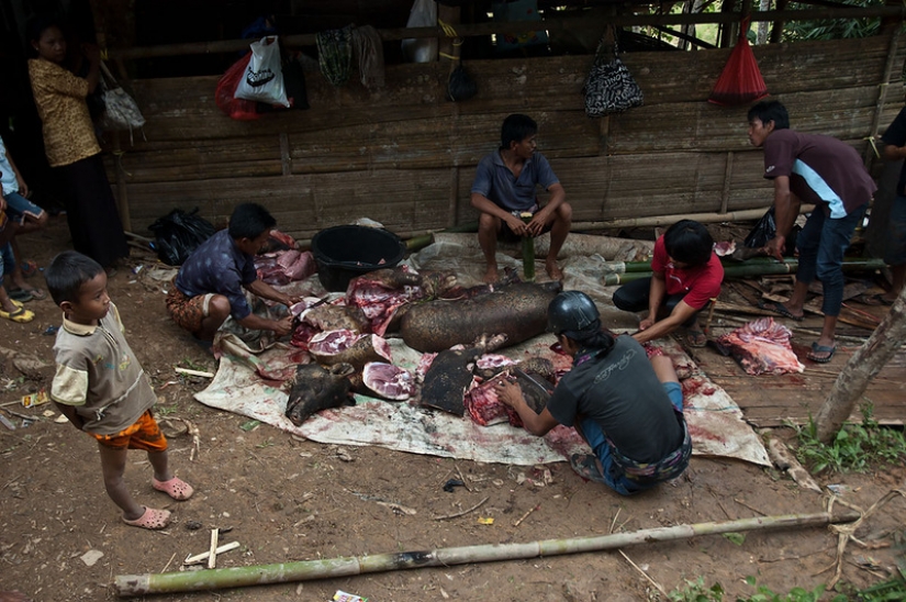 Unusual funeral rituals in Indonesia
