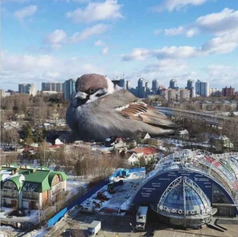 Vadim Solovyov y sus monstruos en San Petersburgo