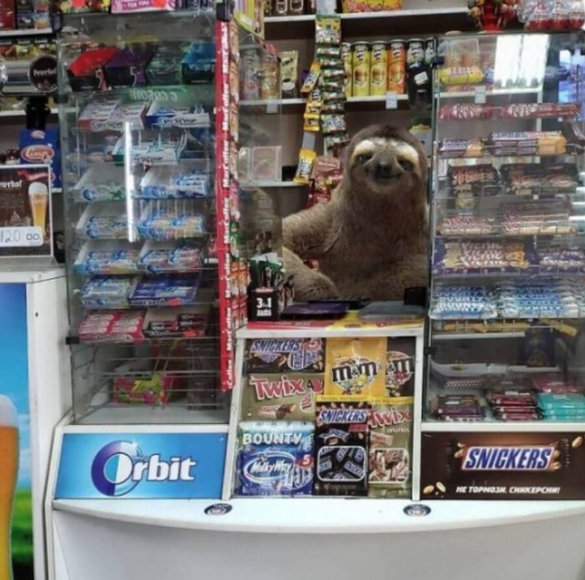 Vadim Solovyov y sus monstruos en San Petersburgo