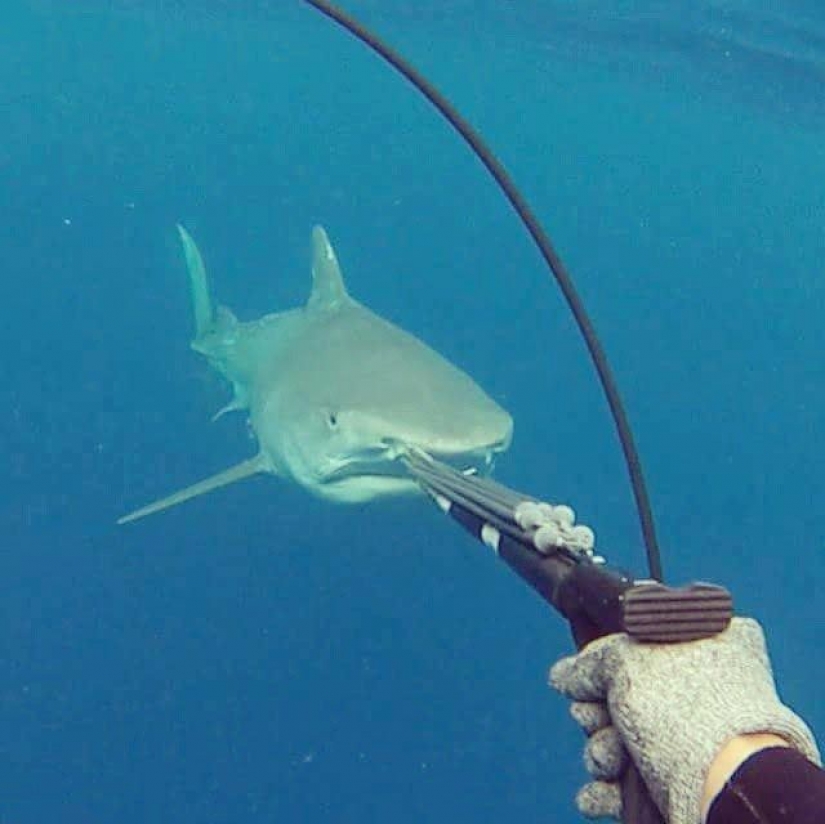 Valentin Thomas is the sexiest fisherwoman instagram Valentin Thomas is the sexiest fisherwoman instagram