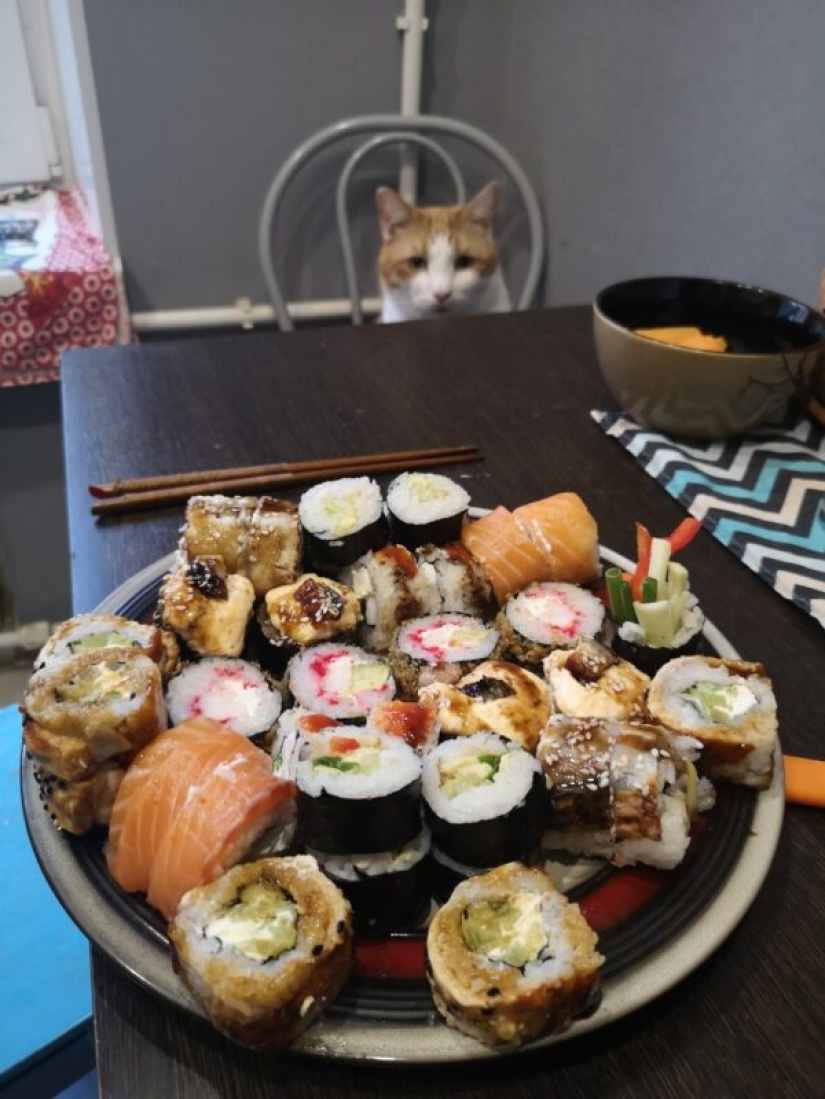 "Venderás pescado" : la historia del meme más dulce de este verano "Venderás pescado" : la historia del meme más dulce de este verano