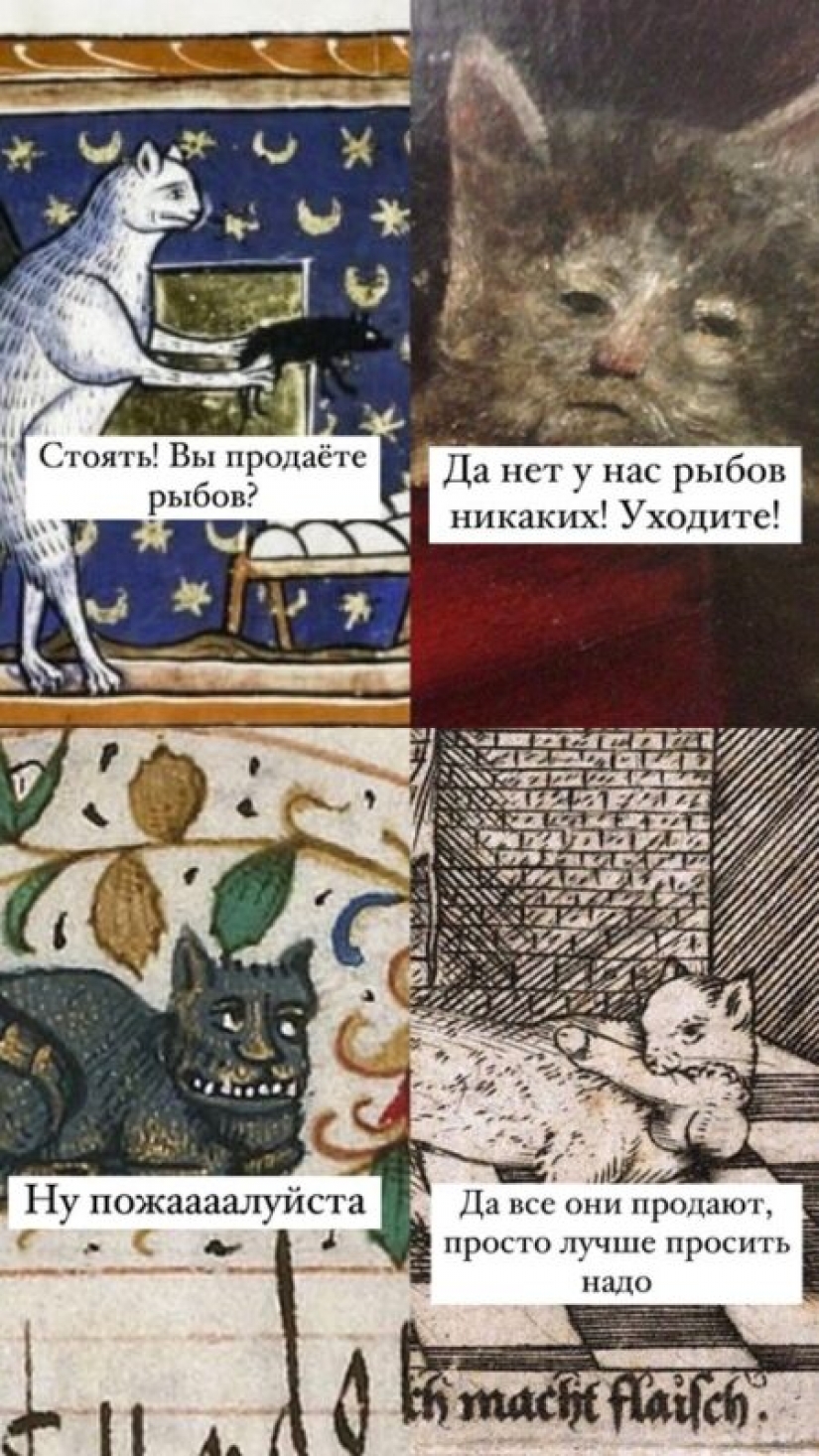 "Venderás pescado" : la historia del meme más dulce de este verano "Venderás pescado" : la historia del meme más dulce de este verano