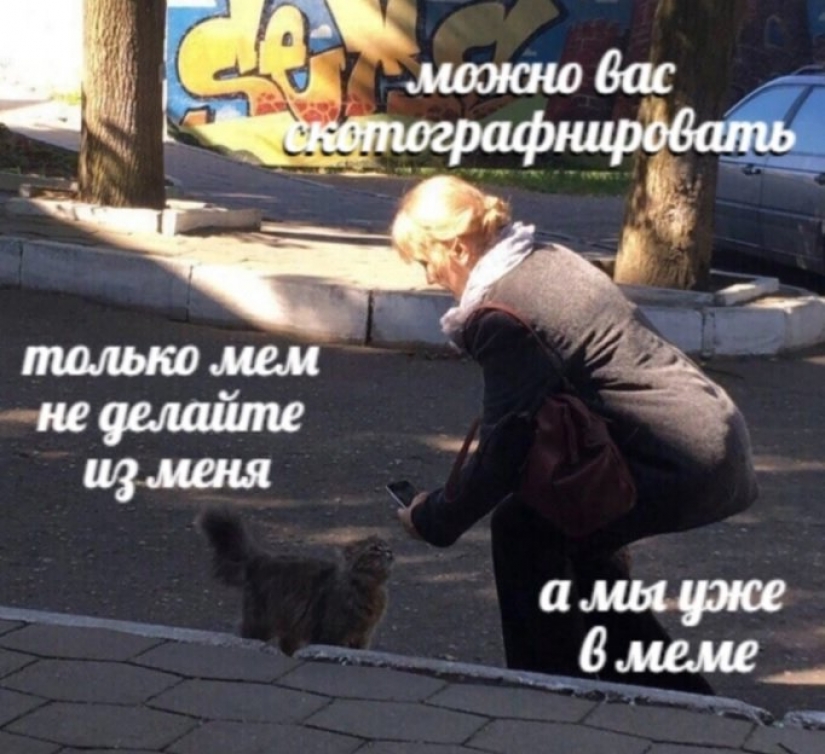 "Venderás pescado" : la historia del meme más dulce de este verano "Venderás pescado" : la historia del meme más dulce de este verano