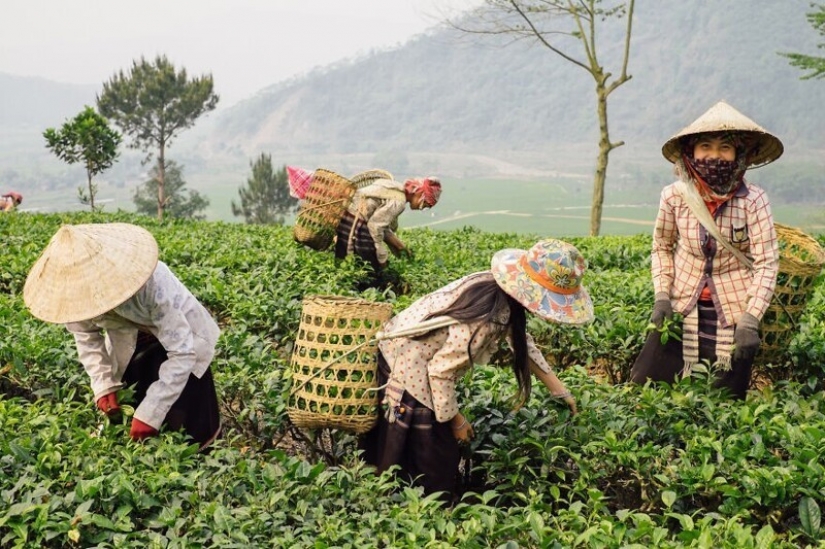 Viajamos a Vietnam por 30 fotos junto con el ucraniano Dmitry Gilitukha