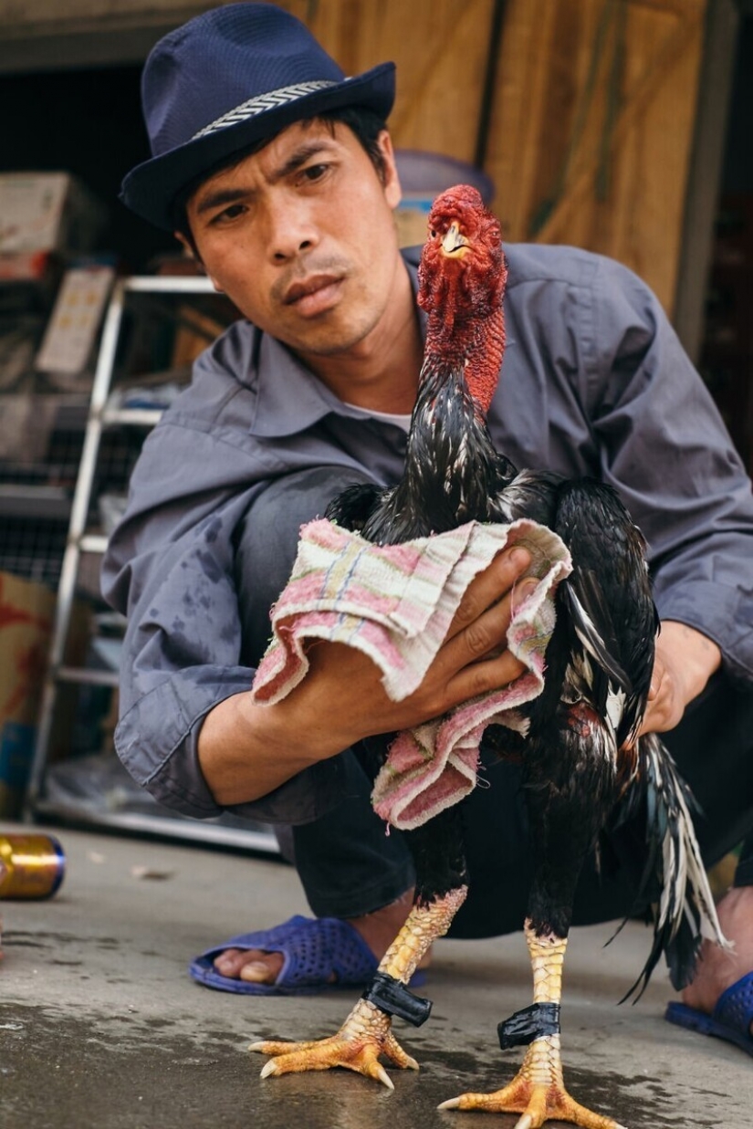 Viajamos a Vietnam por 30 fotos junto con el ucraniano Dmitry Gilitukha