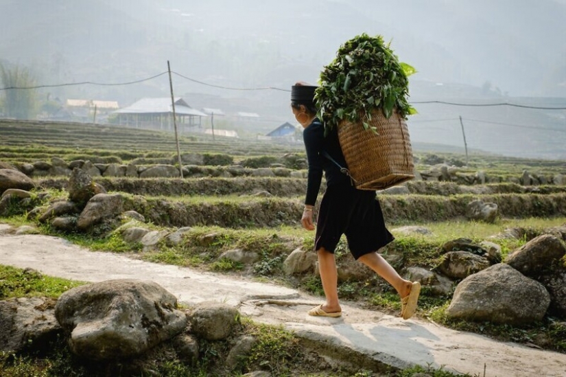 Viajamos a Vietnam por 30 fotos junto con el ucraniano Dmitry Gilitukha