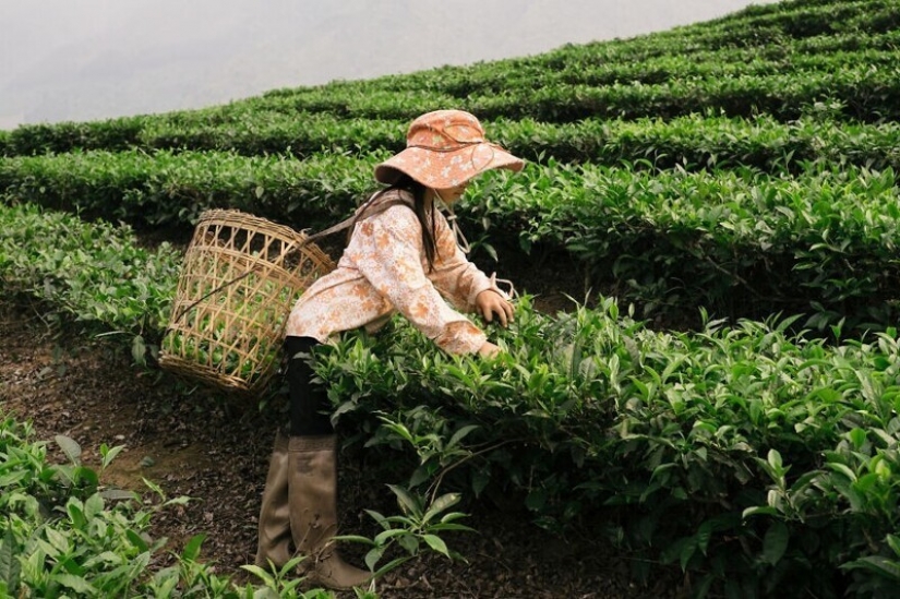 Viajamos a Vietnam por 30 fotos junto con el ucraniano Dmitry Gilitukha