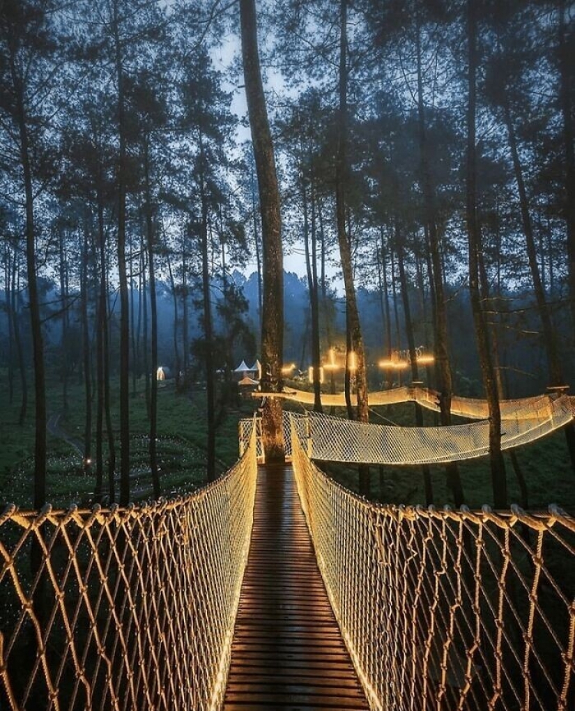 Viajar en línea: el puente más mágico de Indonesia