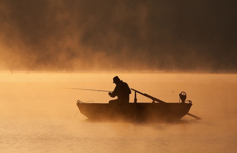 Vida de niebla en el lago