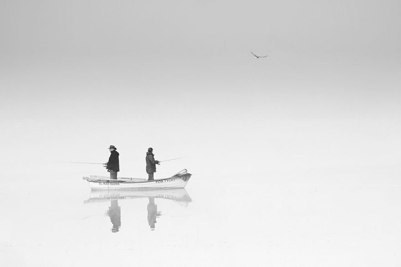 Vida de niebla en el lago