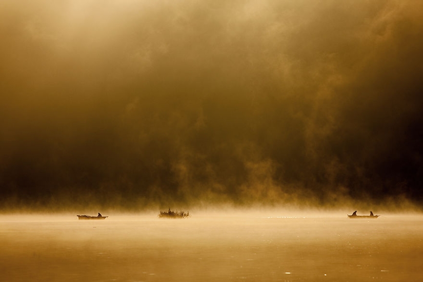 Vida de niebla en el lago