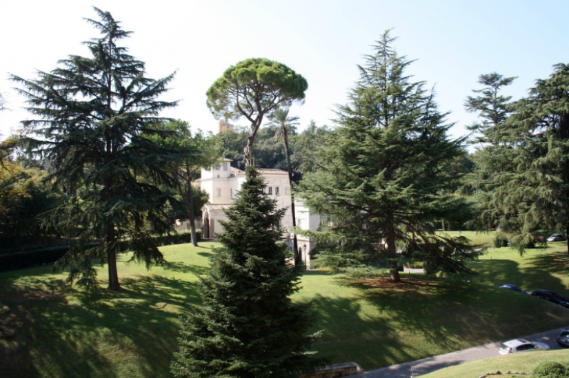 Walking around the Vatican: what lies behind the walls of a separate state in the centre of Rome Walking around the Vatican: what lies behind the walls of a separate state in the centre of Rome