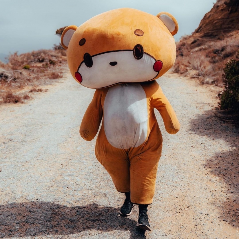 Walking bear: the guy walked 770 km from Los Angeles to San Francisco