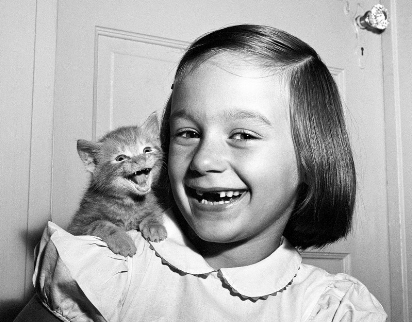 Walter Chandoga – el hombre que 70 años fotografiando los gatos