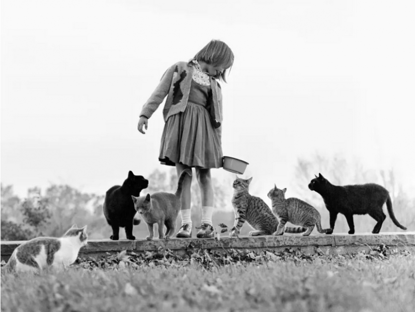 Walter Chandoga – el hombre que 70 años fotografiando los gatos