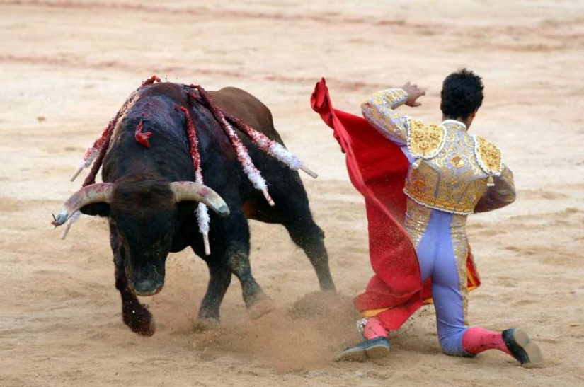 We dispel the most popular myths We dispel the most popular myths