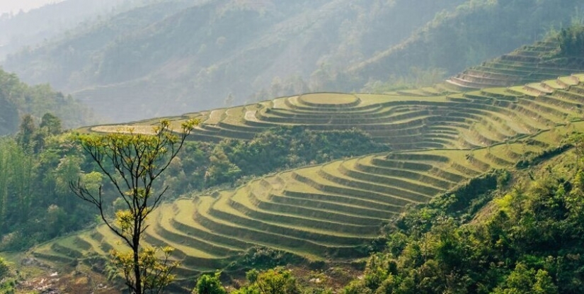 We travel to Vietnam for 30 photos together with Ukrainian Dmitry Gilitukha