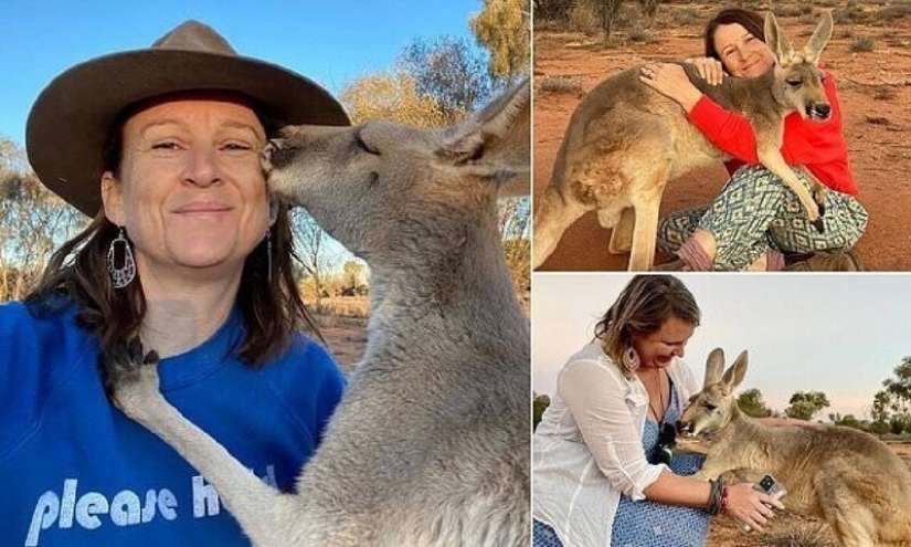 What does the most affectionate kangaroo in Australia look like, who loves hugs very much What does the most affectionate kangaroo in Australia look like, who loves hugs very much