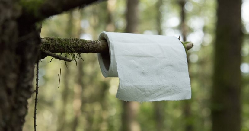 What is "papierzaki", or Why did they hang "toilet" instructions in the Polish forests What is "papierzaki", or Why did they hang "toilet" instructions in the Polish forests