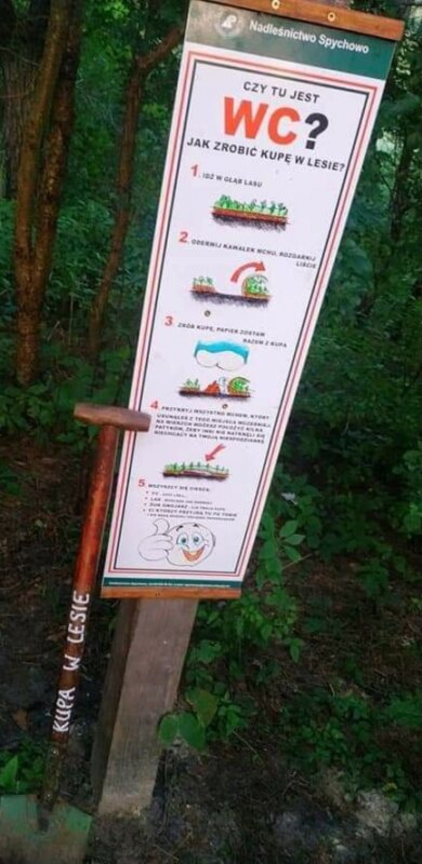 What is "papierzaki", or Why did they hang "toilet" instructions in the Polish forests What is "papierzaki", or Why did they hang "toilet" instructions in the Polish forests