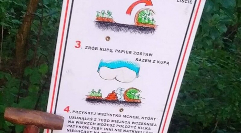What is "papierzaki", or Why did they hang "toilet" instructions in the Polish forests What is "papierzaki", or Why did they hang "toilet" instructions in the Polish forests