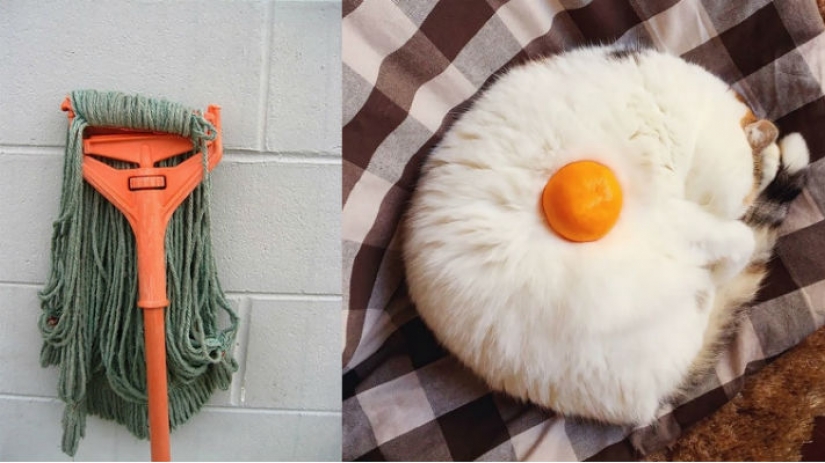 What's it like wire? 22 check for an active imagination What's it like wire? 22 check for an active imagination