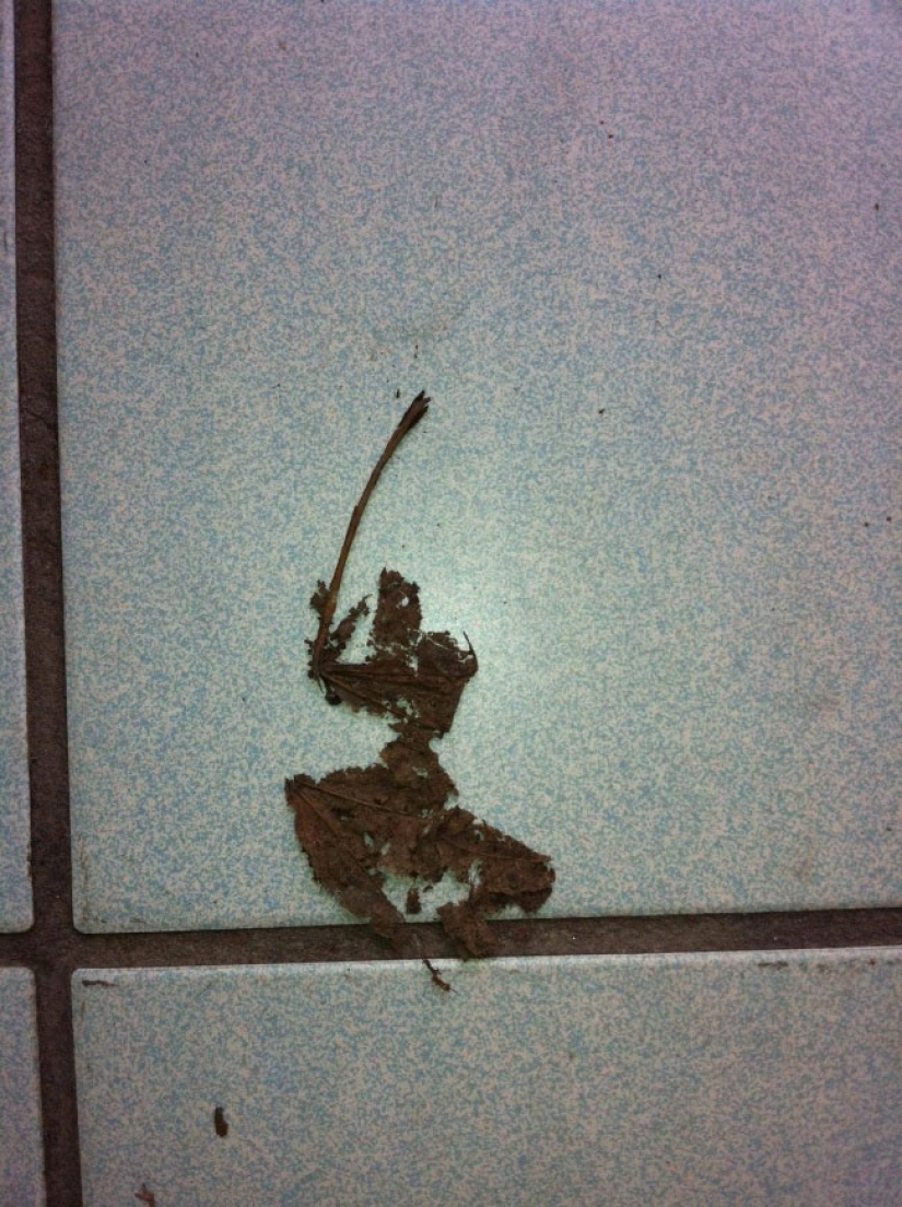 What's it like wire? 22 check for an active imagination What's it like wire? 22 check for an active imagination