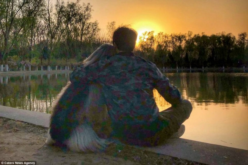 When a dog has a better hairstyle than you: a Chinese man spends thousands of dollars on caring for his pet's hair