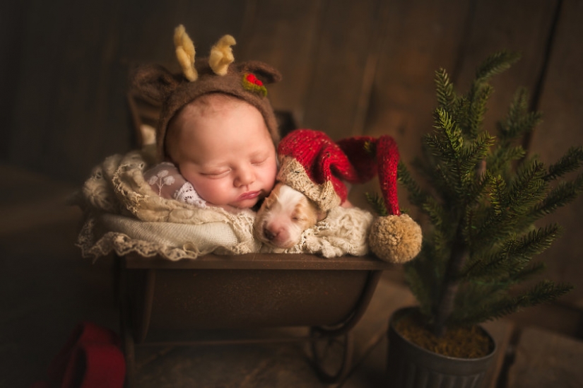 When you're cute as hell: hugs babies and Pets in the project of the photographer from London When you're cute as hell: hugs babies and Pets in the project of the photographer from London